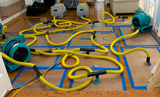 Professional Water Damage Repair technician working in Lupton City, TN